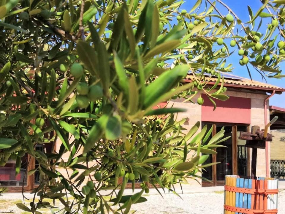 Country House Torrenera Morro d'Oro Exterior photo